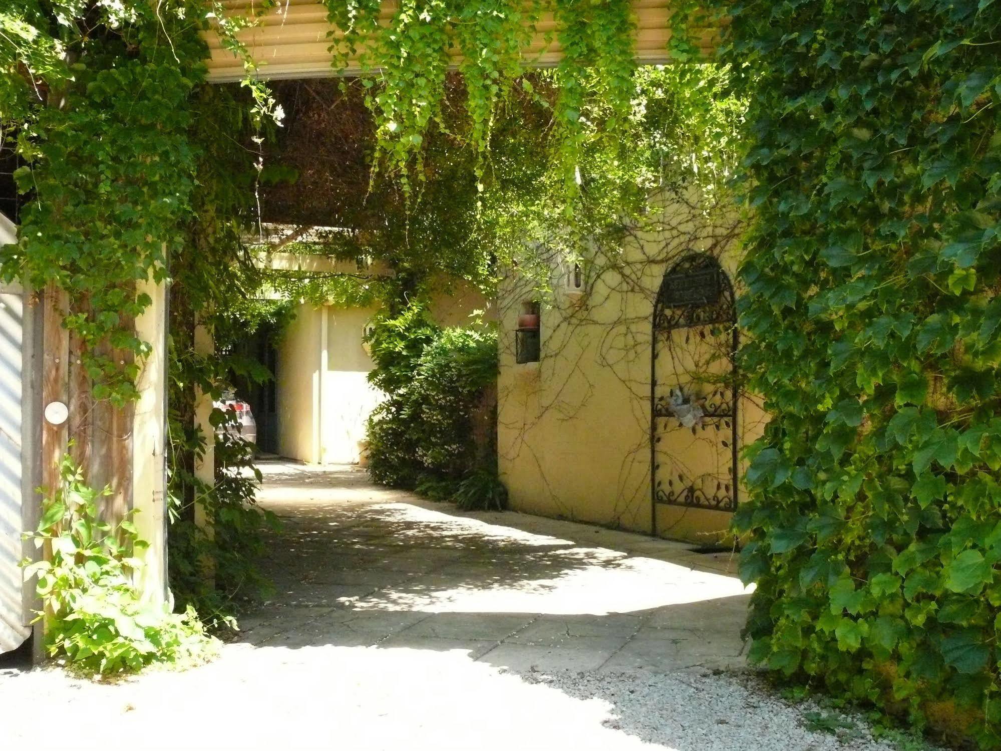 Athelney Cottage Bed And Breakfast Adelaide Esterno foto